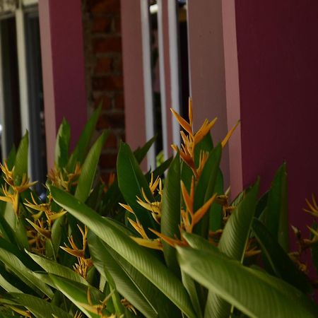 Baronda Guest House ソロン エクステリア 写真