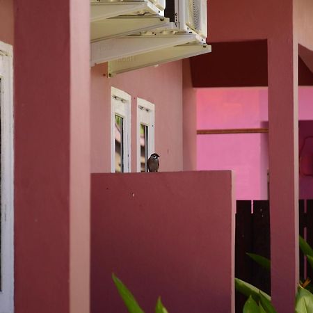 Baronda Guest House ソロン エクステリア 写真