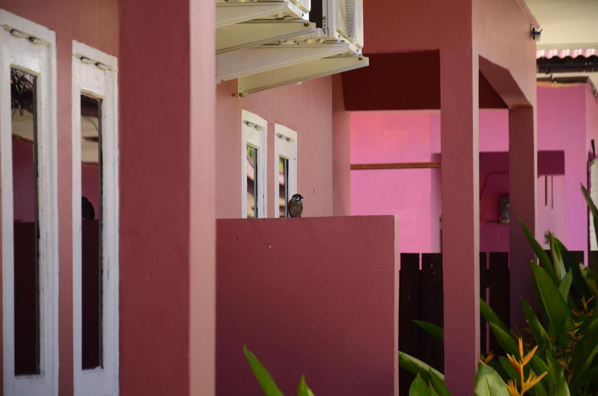 Baronda Guest House ソロン エクステリア 写真